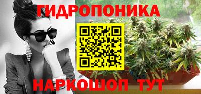 apvp Лесосибирск